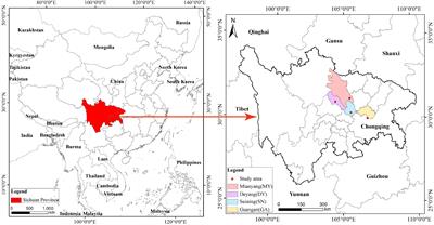 Response strategies of fine root morphology of Cupressus funebris to the different soil environment